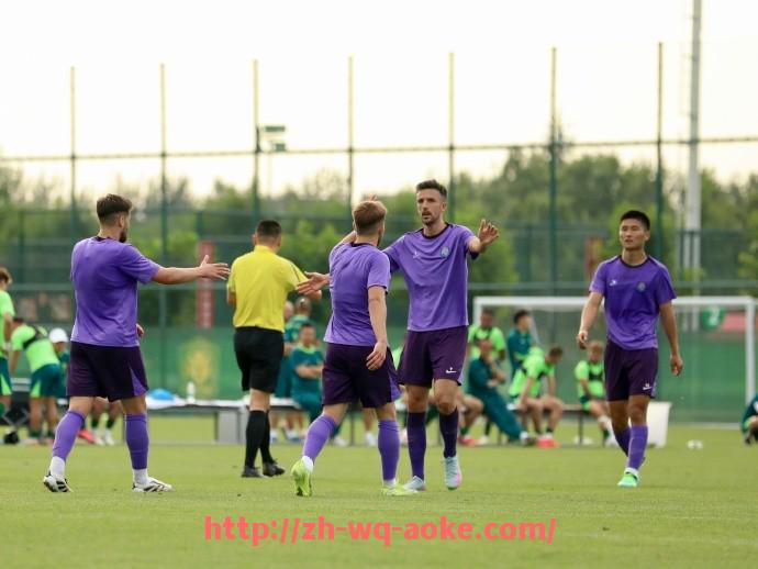 澳客足彩-法甲联赛新赛制的全面探讨与未来展望