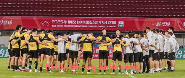 澳客足彩-法甲联赛新赛制的全面探讨与未来展望