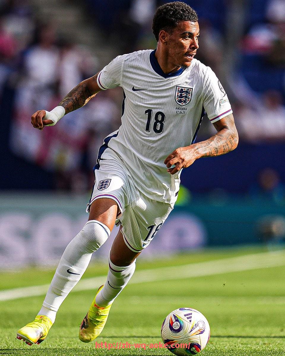 澳客足彩-德甲球队及其球员详细介绍与赛季表现