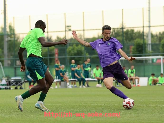 澳客足彩-意甲球队是否在战术或数据上克制德甲风格球队？