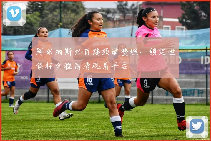 阿尔纳斯尔直播频道整理,锁定世俱杯全程高清观看平台