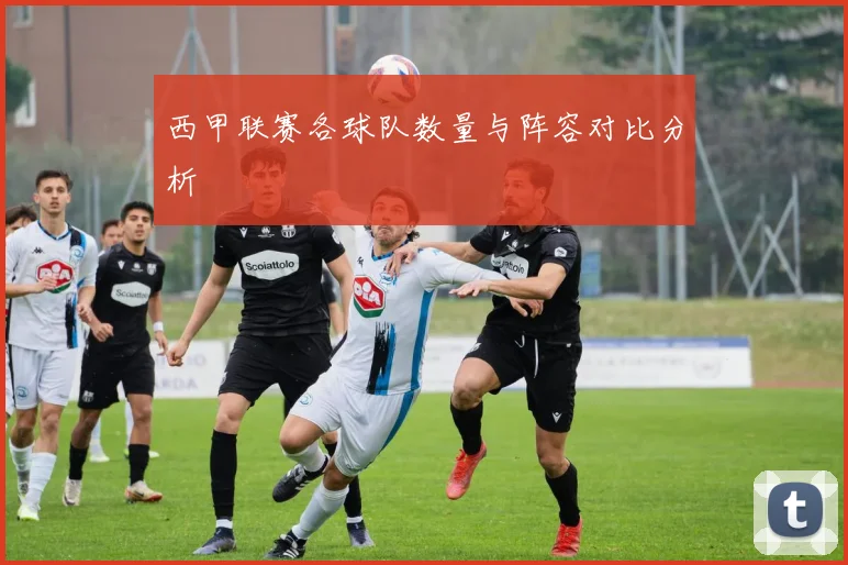 西甲联赛各球队数量与阵容对比分析