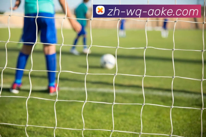 数据防护可视化