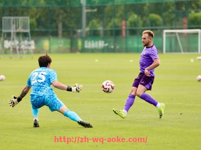 澳客足彩-法甲外援技术数据回顾及其在联赛中的表现分析